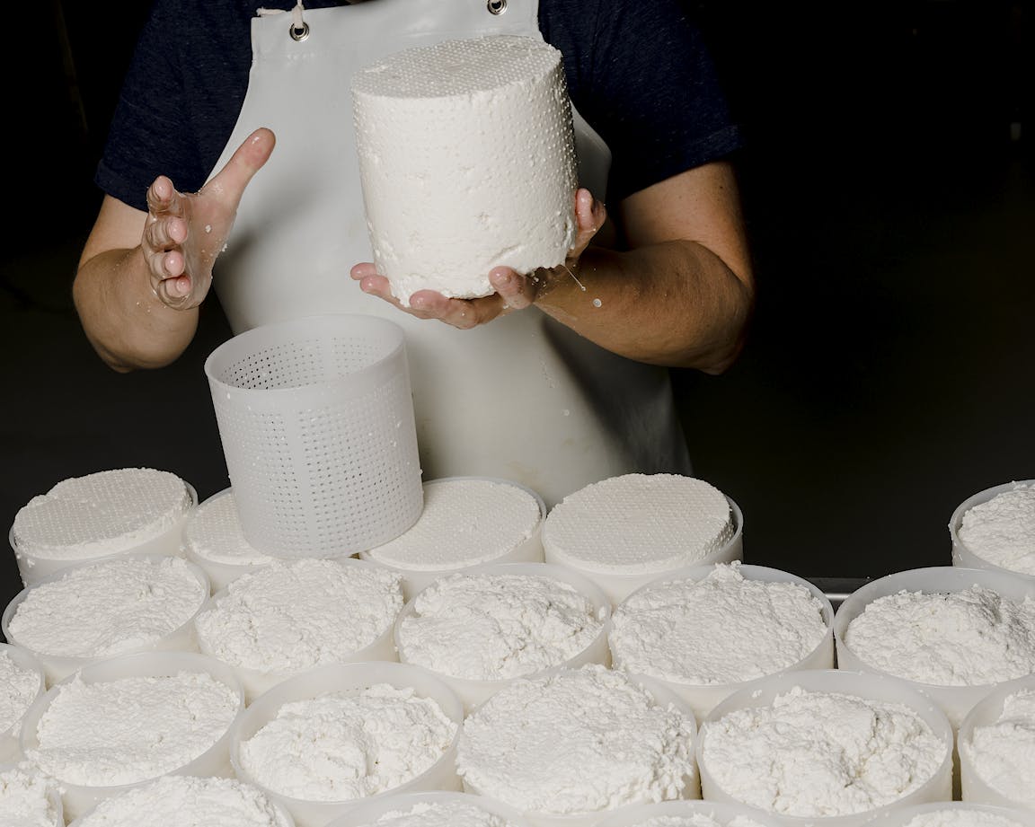 A person holds a wheel of cheese.